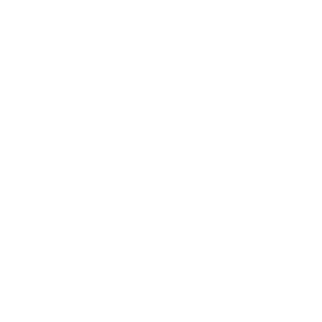 wyvern-logo